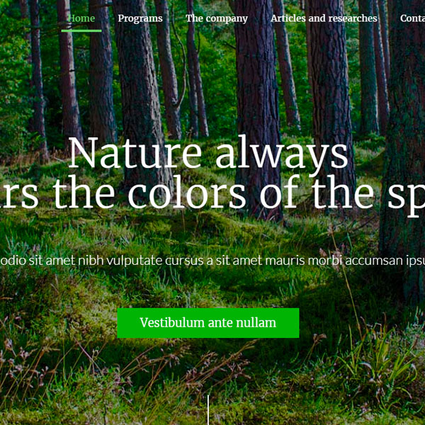Plantilla Eco